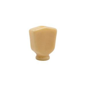 IVORY KEYSTONE BUTTON