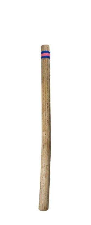 30" Cactus Rain Stick