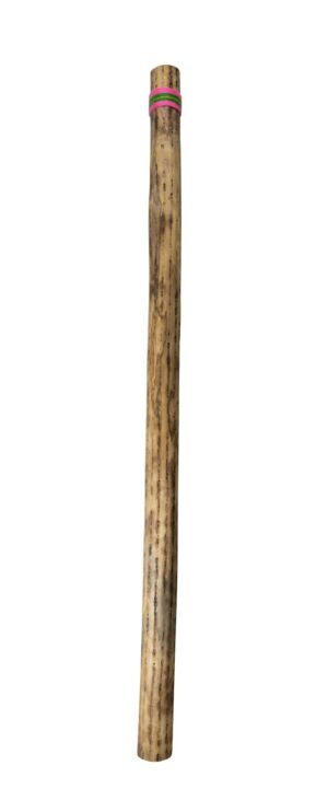 40" Cactus Rain Stick